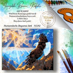 N. Boyama – N1192 N. Boyama – N1192