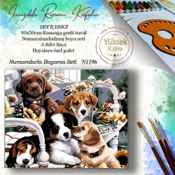 N. Boyama – N1196 N. Boyama – N1196